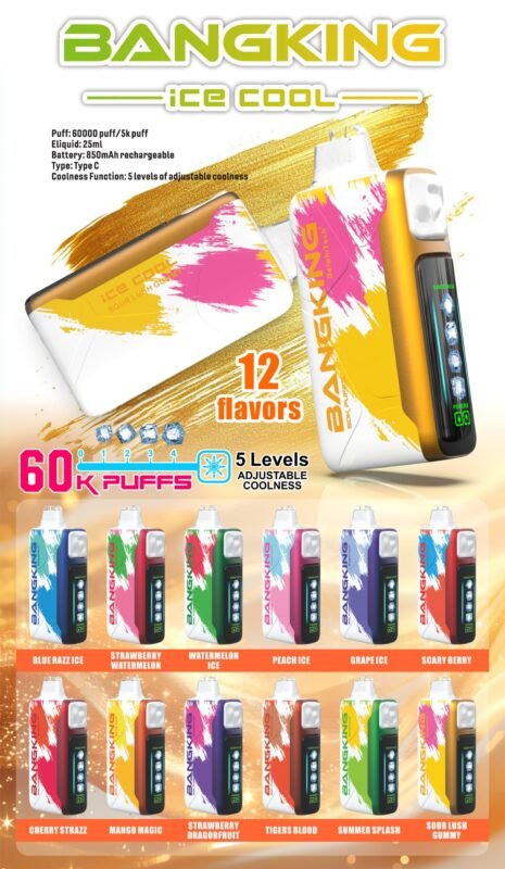 Bang_king_ice_cool_60000_puffs_vape-1-scaled-1-465x800 Bang King